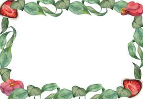Aquarell Hand gezeichnet traditionell japanisch Süßigkeiten. Rahmen mit Winter wagashi und Kamelie. isoliert auf Weiß Hintergrund. Design zum Einladungen, Restaurant Speisekarte, Gruß Karten, drucken, Textil- vektor