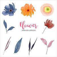 Sammlung von Aquarellillustration schöne Blume vektor