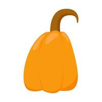 pumpa platt ikon. tecken utrustning av halloween. tacksägelse piktogram samling bruka skörda, närbild squash, grönsak. enkel pumpa tecknad serie färgrik ikon symbol isolerat vit vektor illustration