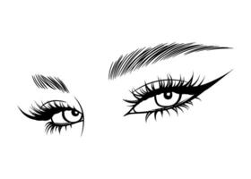 Vektor Hand gezeichnet schön weiblich Augen mit lange schwarz Wimpern und Brauen schließen hoch.