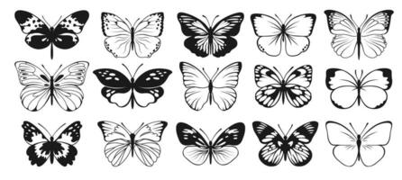 Schmetterling Vektor Silhouetten. dekorativ Insekt Sammlung. geflügelt Tiere Illustration