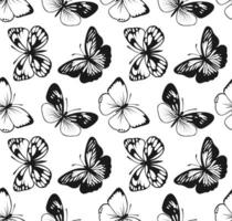 Schmetterling nahtlos Muster. dekorativ fliegen Insekt Hintergrund. schwarz und Weiß botanisch Textur vektor
