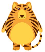 Tiger med rund kropp vektor