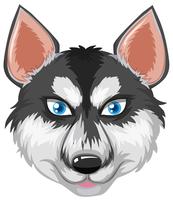 Face of Siberian Husky vektor