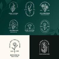 modern minimalistisk linje konst botanisk baho logotyp design vektor