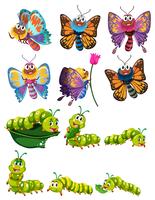 Rostor och fjärilar med färgglada vingar vektor