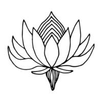 Lotus Blume im kritzeln style.happy Diwali.Dekoration im orientalisch, indisch style.hand gezeichnet Gliederung Vektor Illustration.