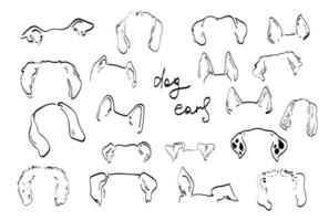 sällskapsdjur hund öron översikt teckning klotter vektor ikon illustration