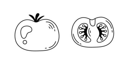 Tomate ganze und Hälfte Gekritzel Illustration vektor