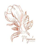 magnolia blomma linje illustration uppsättning. hand dragen reste sig guld översikt bröllop ört, elegant löv för inbjudan spara de datum kort. botanisk trendig grönska vektor samling för webb, skriva ut, affischer.