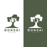 bonsai träd logotyp vektor symbol illustration design