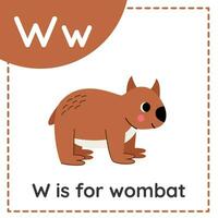 inlärning engelsk alfabet för ungar. brev w. söt tecknad serie vombat. vektor
