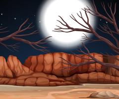Desert scen på natten vektor