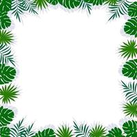 grön ram med palmblad, skugga och vitt tomt utrymme vektor