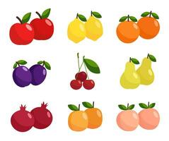Frucht. einstellen von einfach Abbildungen von Früchte. eben Vektor Illustration isoliert auf Weiß Hintergrund.