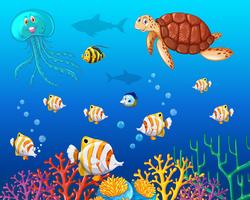 Många typer av havsdjur under havet vektor