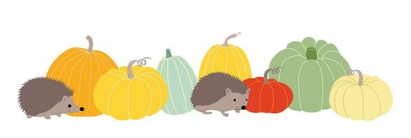 einstellen von mehrfarbig Kürbisse und Igel auf ein Weiß Hintergrund. Herbst Illustration zum das Erntedankfest oder Ernte. süß horizontal Herbst Banner vektor