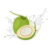 vektor illustration, färsk kokos med stänk av kokos vatten, isolerat på vit bakgrund.