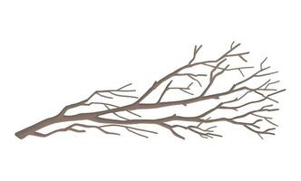 tecknad serie ClipArt av bar gren. klotter av träd utan löv. samtida vektor illustration isolerat på vit bakgrund.