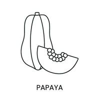 papaya linje ikon i vektor, frukt illustration vektor