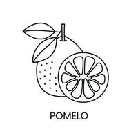 pomelo linje ikon i vektor, citrus- frukt illustration vektor