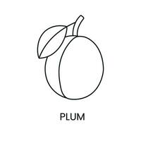 Pflaume Linie Symbol im Vektor, Obst Illustration. vektor