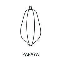 papaya linje ikon i vektor, frukt illustration vektor