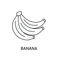 Banane Linie Symbol im Vektor, tropisch Obst Illustration vektor