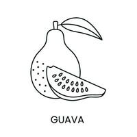 Guave Linie Symbol im Vektor, Obst Illustration. vektor
