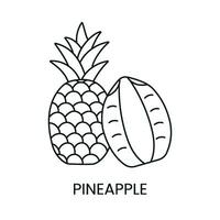 Ananas Linie Symbol im Vektor, tropisch Obst Illustration vektor