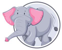 Elefant på cirkel banner vektor