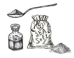 skiss salt uppsättning. salt i en salt shaker, sked, väska. ätlig mat krydda i glas flaska. himalayan krydda pålar och skedar. hav natrium mineral. matlagning ingrediens. vektor