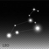 leo stjärntecken för de vackra ljusa stjärnorna vektorillustration vektor