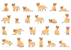 siamese katt ikoner uppsättning tecknad serie vektor. sömn djur- vektor