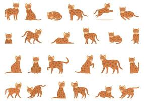 bengal katt ikoner uppsättning tecknad serie vektor. natur djur- vektor