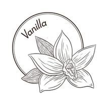 Vintage-Stil-Vanille-Blumen-Logo und Emblem-Vorlage vektor