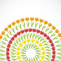 Blumenhintergrund mit Tulpenvektorillustration vektor