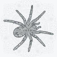 spindelmandala vektor. vintage dekorativa element. orientaliskt mönster, vektor