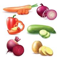 Gemüse realistische Stücke stellen Vektorillustration ein