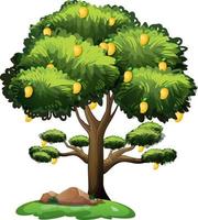 gul mangoträd isolerad på vit bakgrund vektor