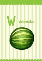 alfabetet flashcard med bokstaven w för vattenmelon vektor