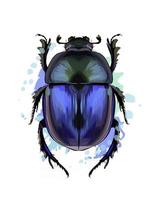 scarab beetle från ett stänk av akvarell, färgad teckning, realistisk. vektor illustration av färger