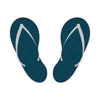isolerade blå sandaler vektor design