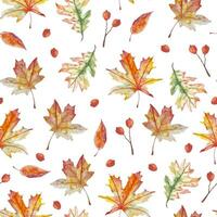 vattenfärg höst sömlös mönster med hand dragen färgrik löv och röd bär för textil, telefon fall och Övrig dekorationer vektor