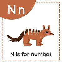 Lernen Englisch Alphabet zum Kinder. Brief N. süß Karikatur Numbat. vektor