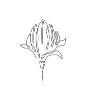 Magnolie kontinuierlich Linie Zeichnung. botanisch monoline, Linie Kunst, Umriss. Japan Blume, Magnolie Blüte. Symbol, Symbol, Logo, skizzieren. vektor