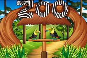 Zooeingang mit zwei Tukanvögeln vektor