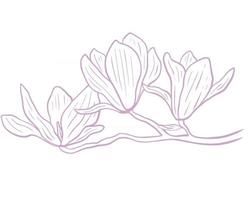 Magnolienblume minimalistischer Skizzenvektor vektor