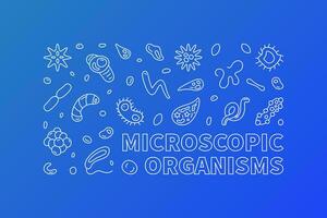 mikroskopisch Organismen Vektor Mikrobiologie Blau Gliederung horizontal Banner - - Mikroorganismen Illustration