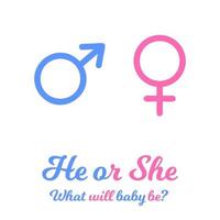blaue und rosa Geschlechtszeichen. Baby Junge oder Mädchen kommt bald vektor